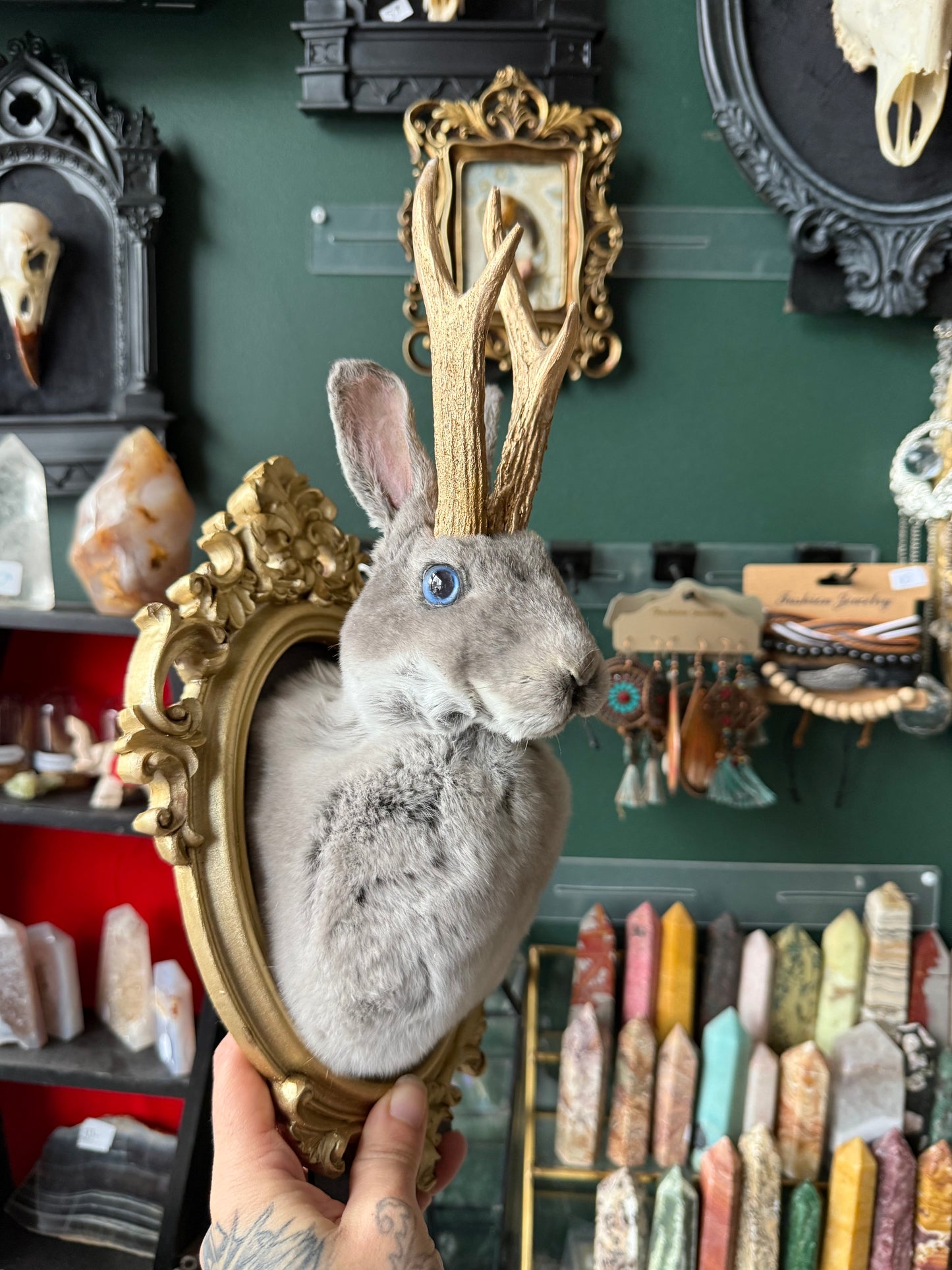 Jackalope taxidermy in frame