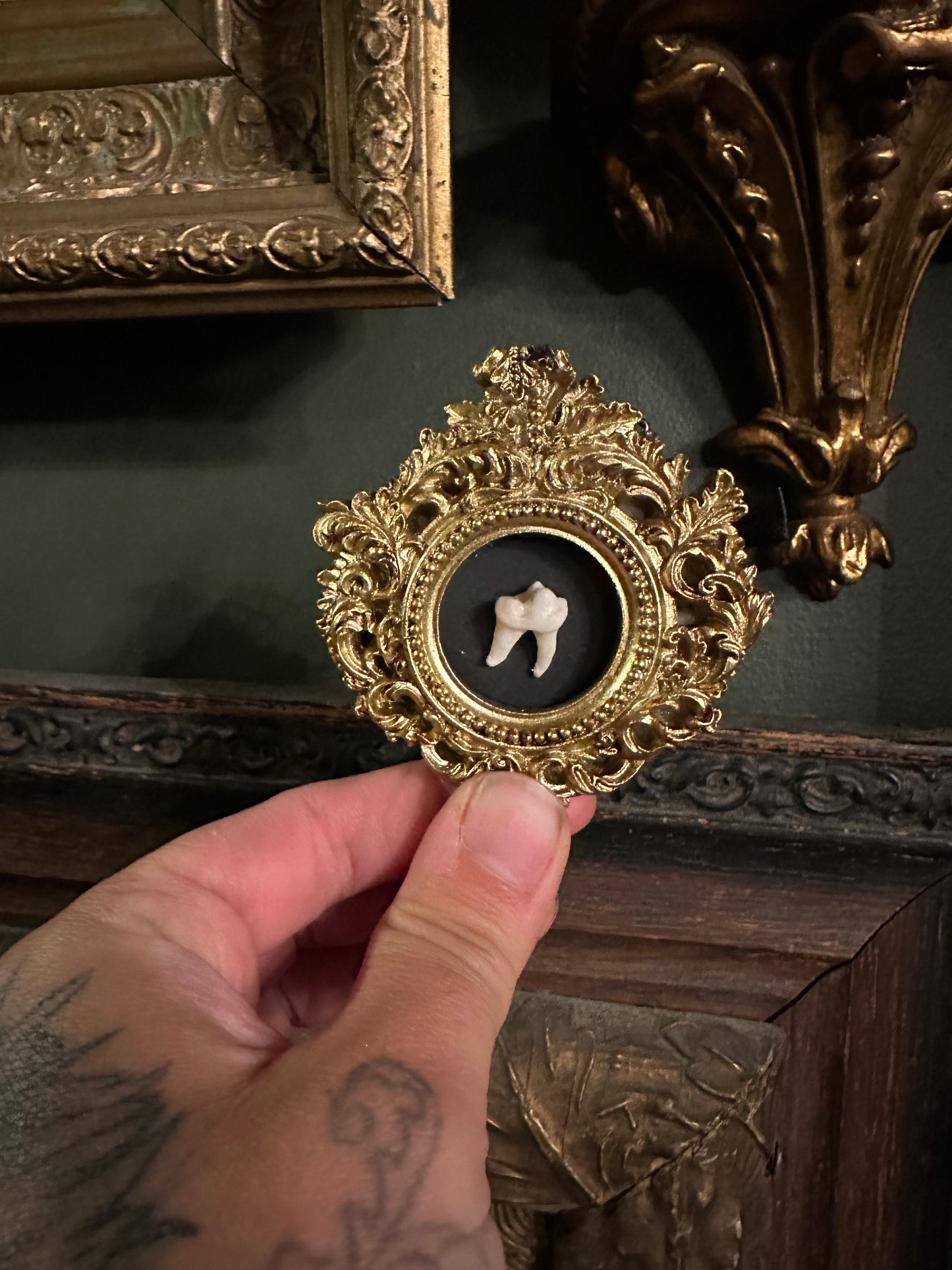 Fox tooth small frame