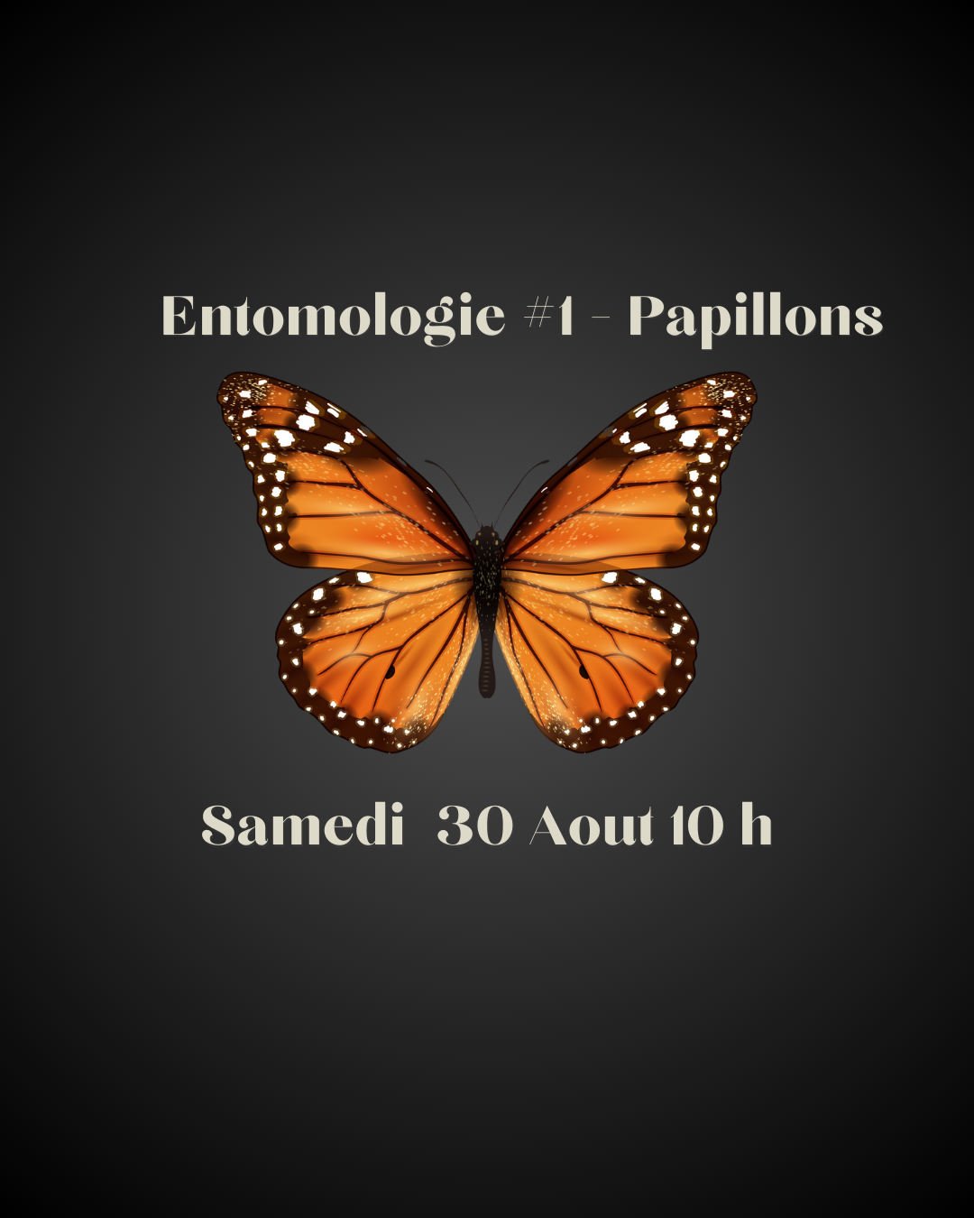 Atelier entomologies #1 - Papillons