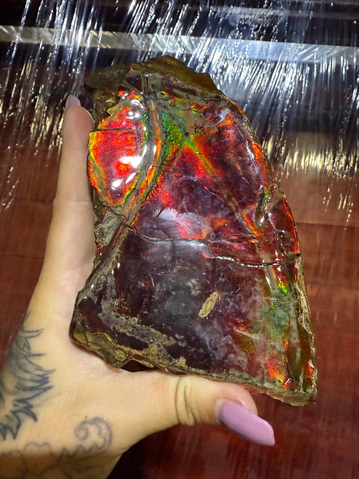 Large ammonite ammolite specimen