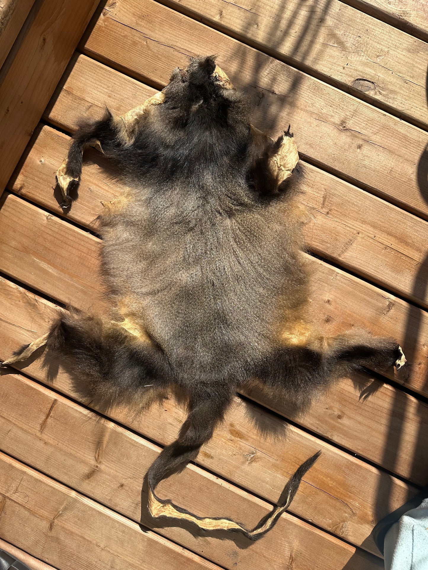 Monkey pelt