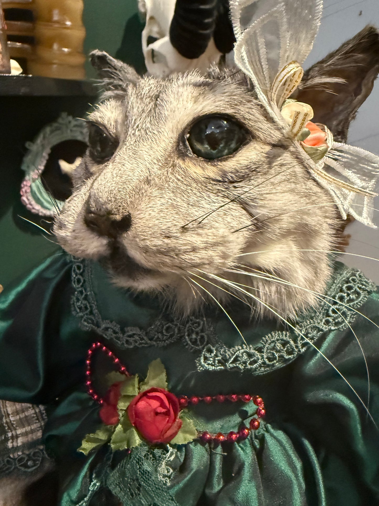 Taxidermy cat doll