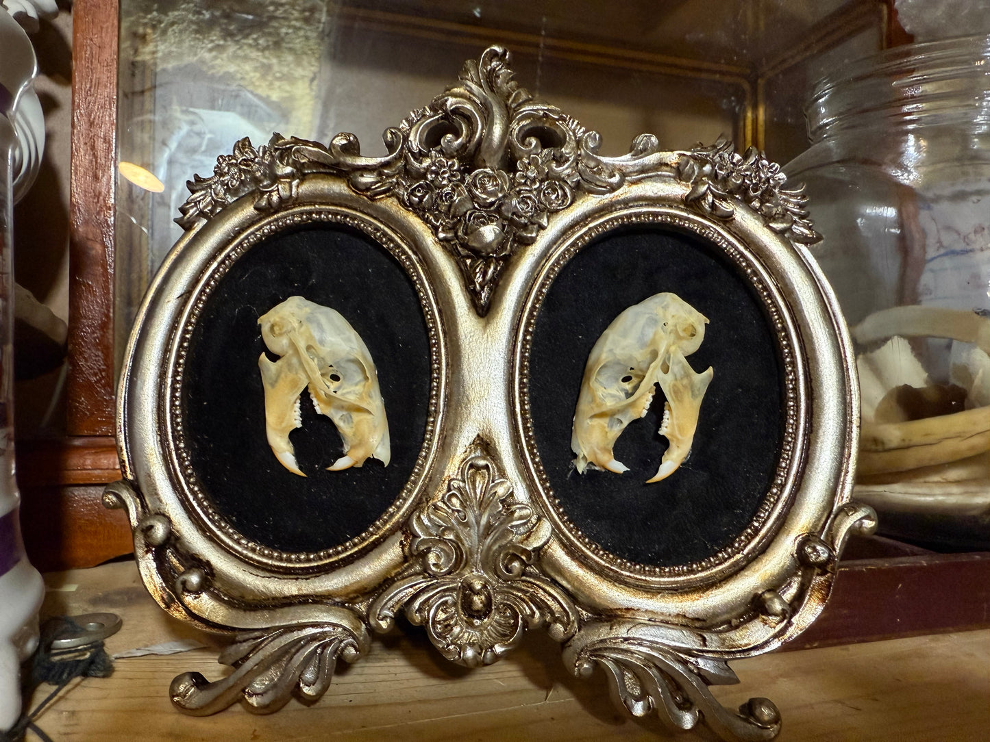 Squirrel skull double frame