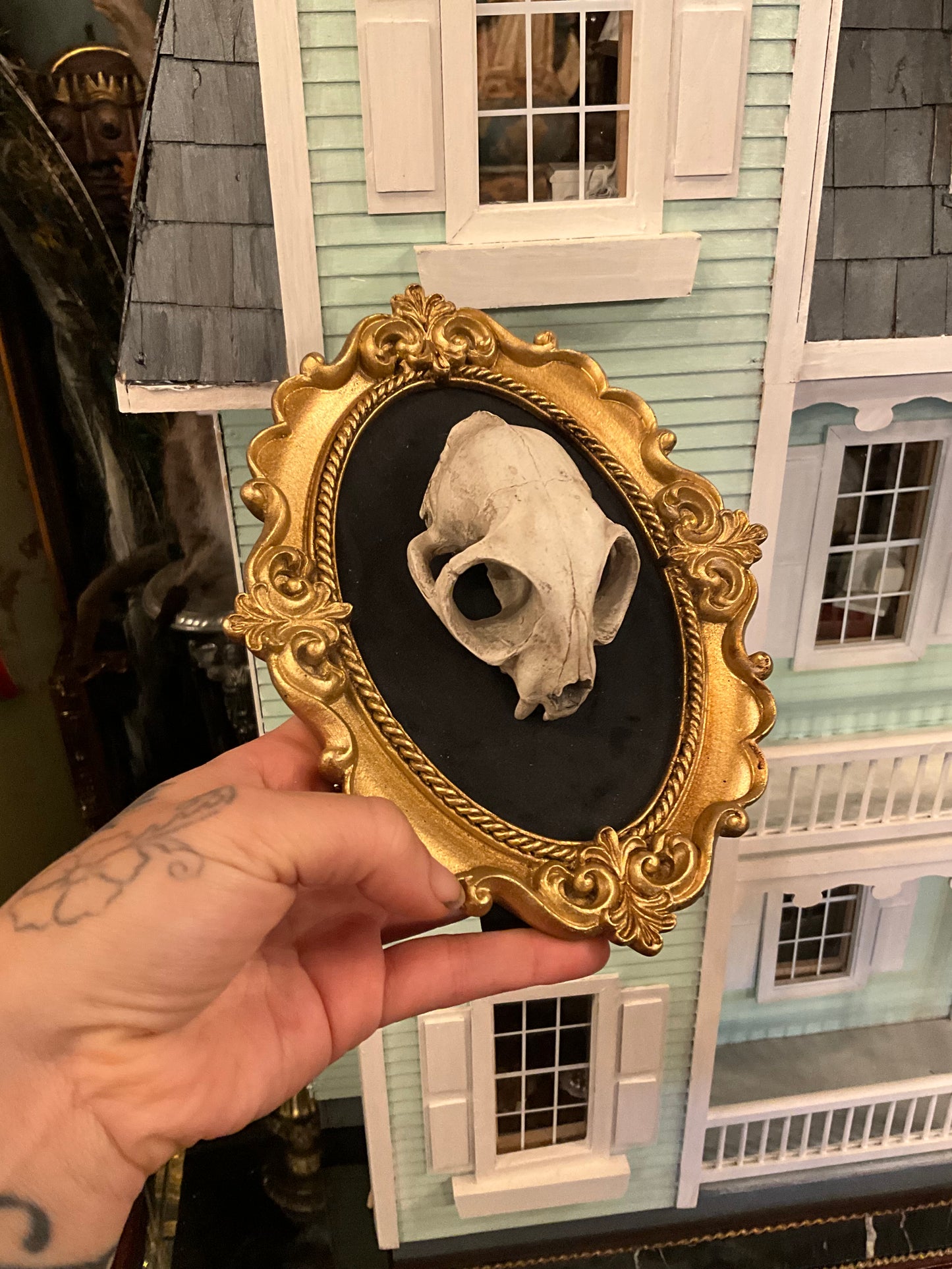 Replica cat skull on a frame