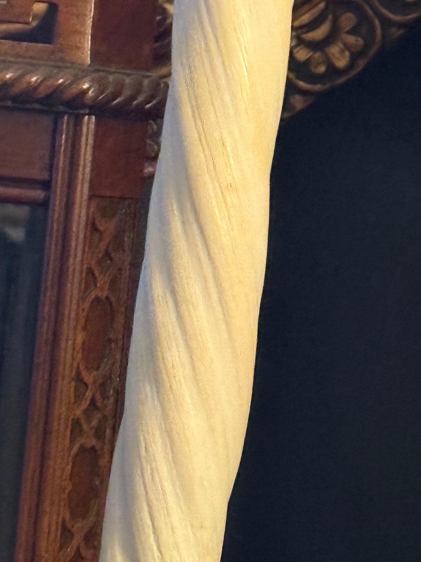 Narwhal tusk with tag