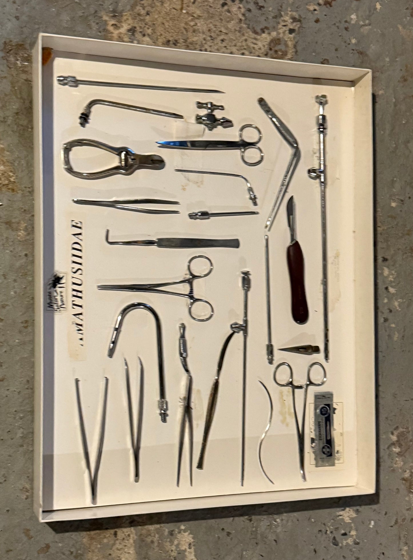 Lot of embalming tools and display case .