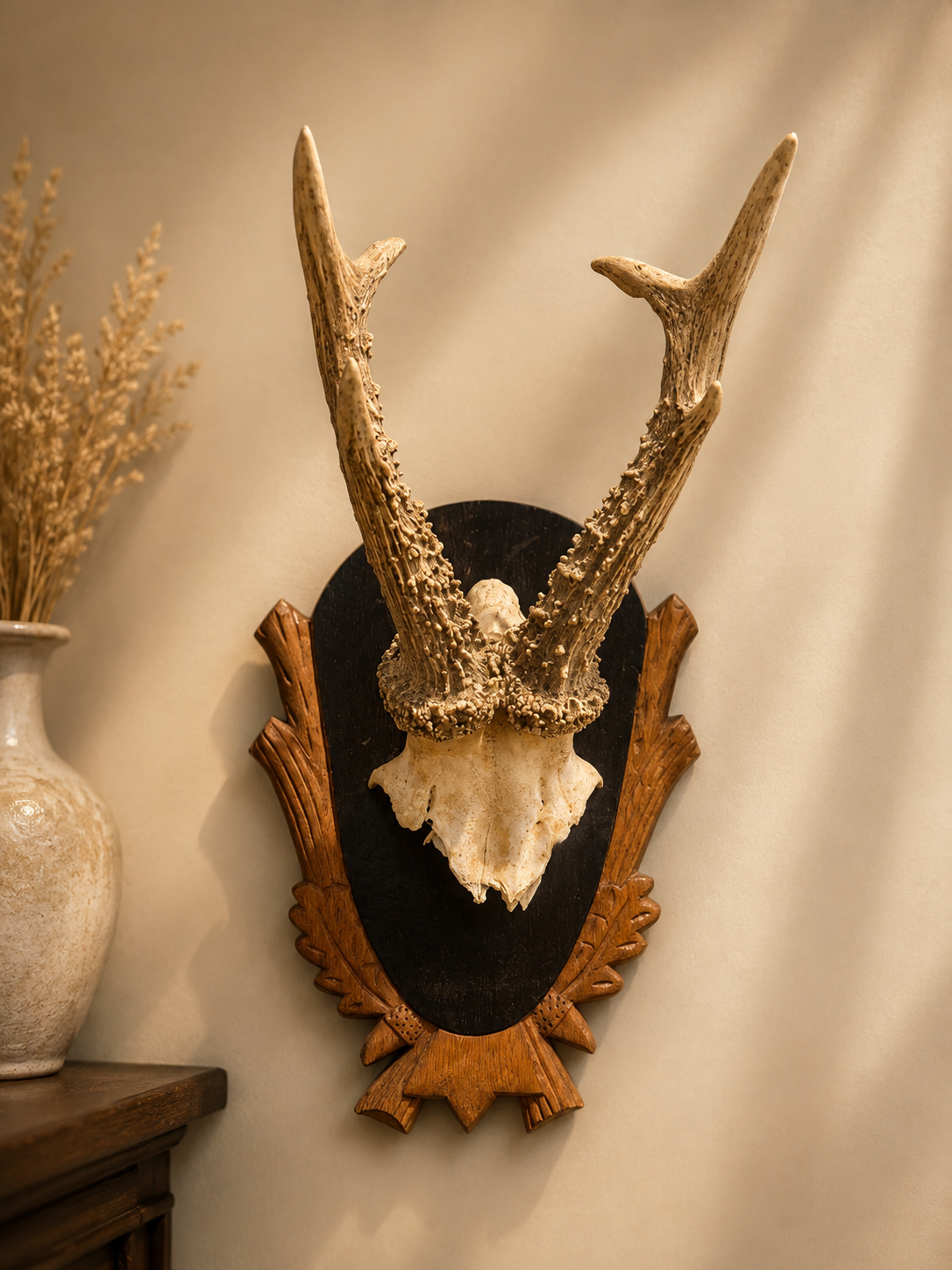 Roe deer skull cap