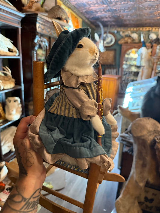 Clarinet dressed up rabbit
