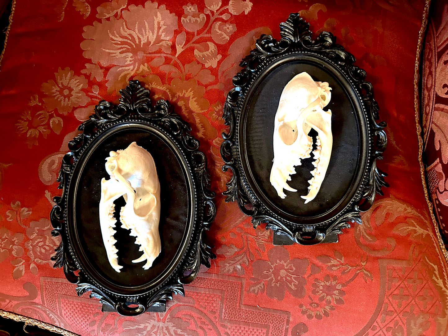2 Fox frame style cameo