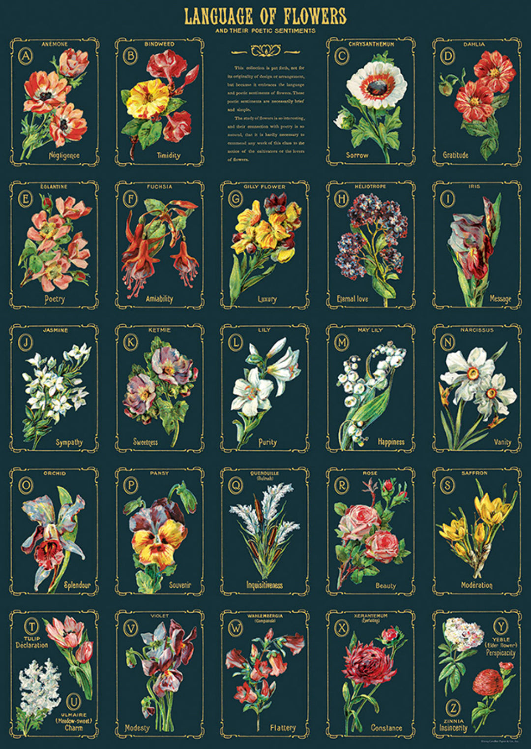 Language of flowers print