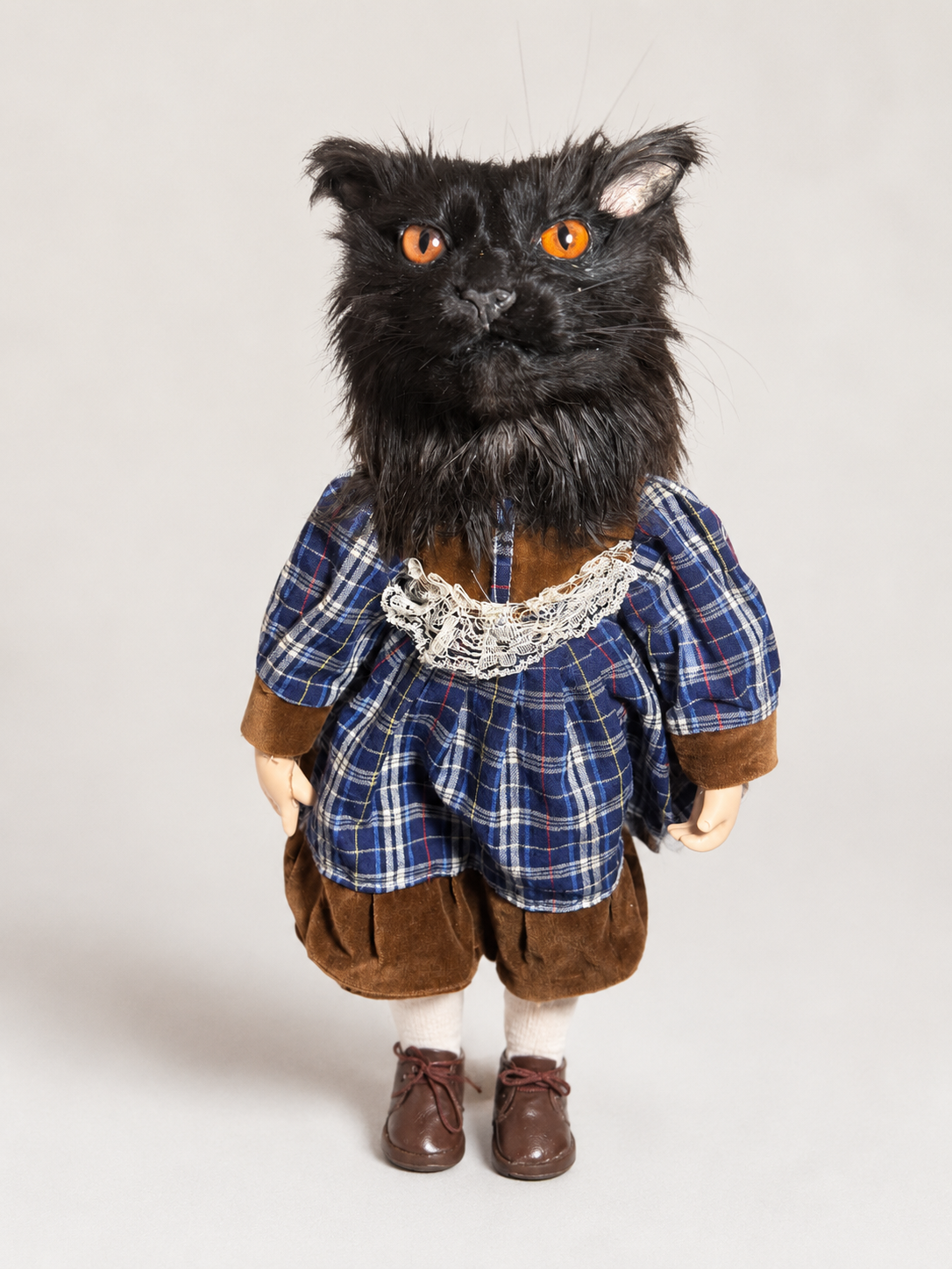 Taxidermy black cat doll