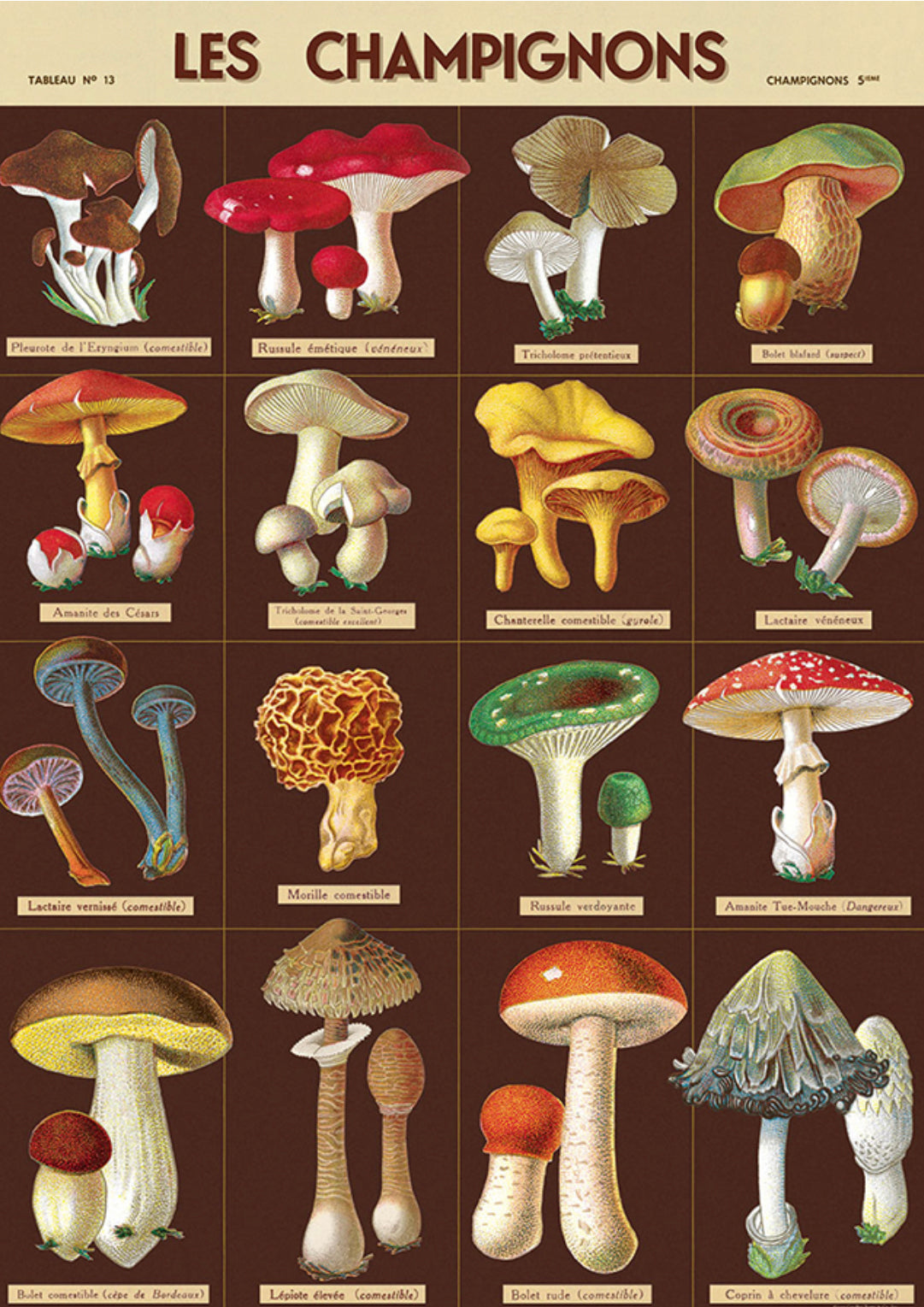 Mushroom #2 print