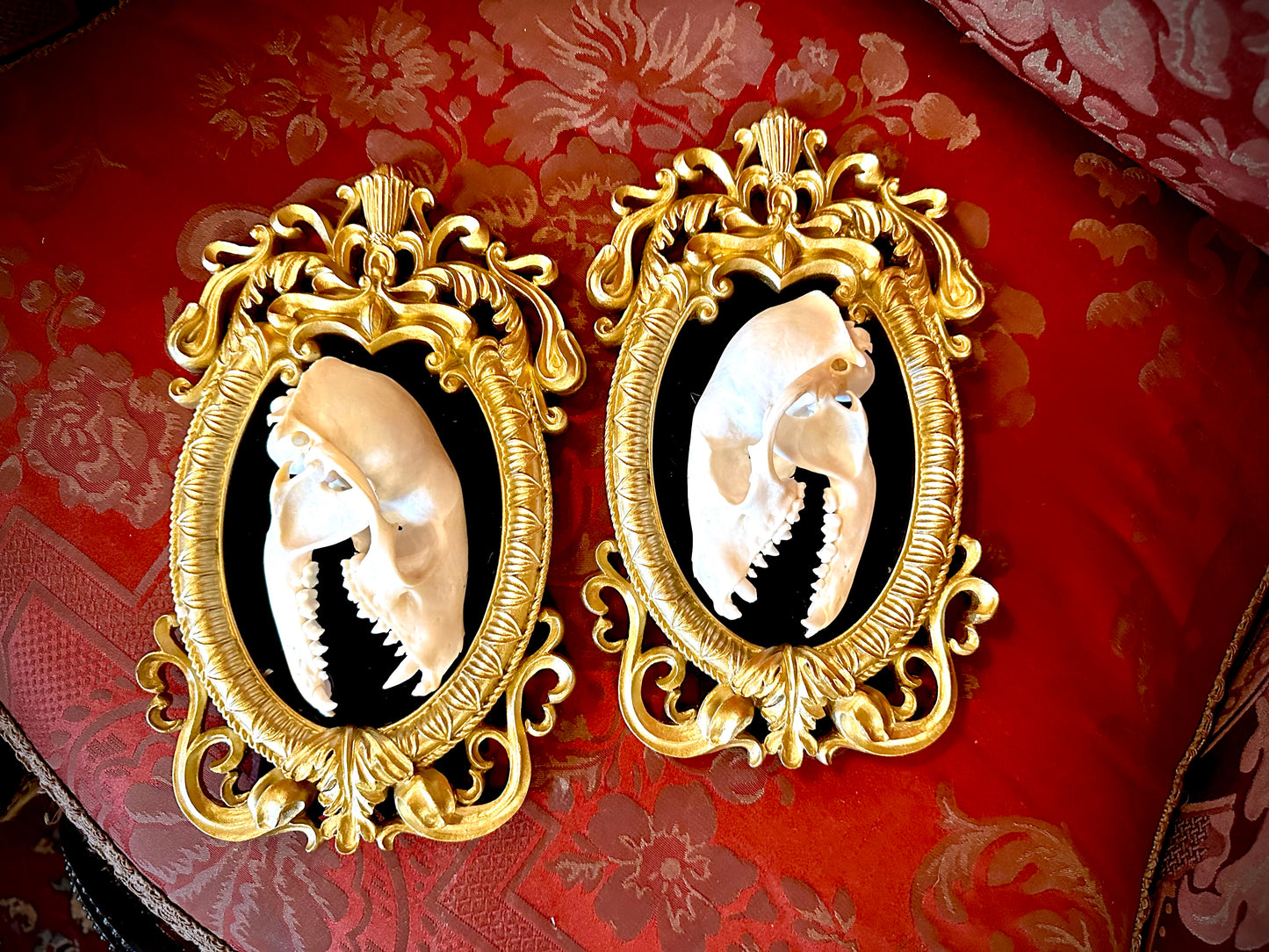 Pair of raccoon frame