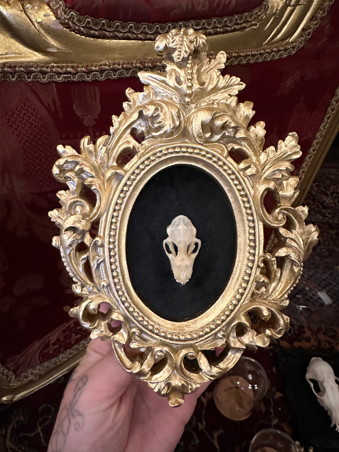 Bat skull frame