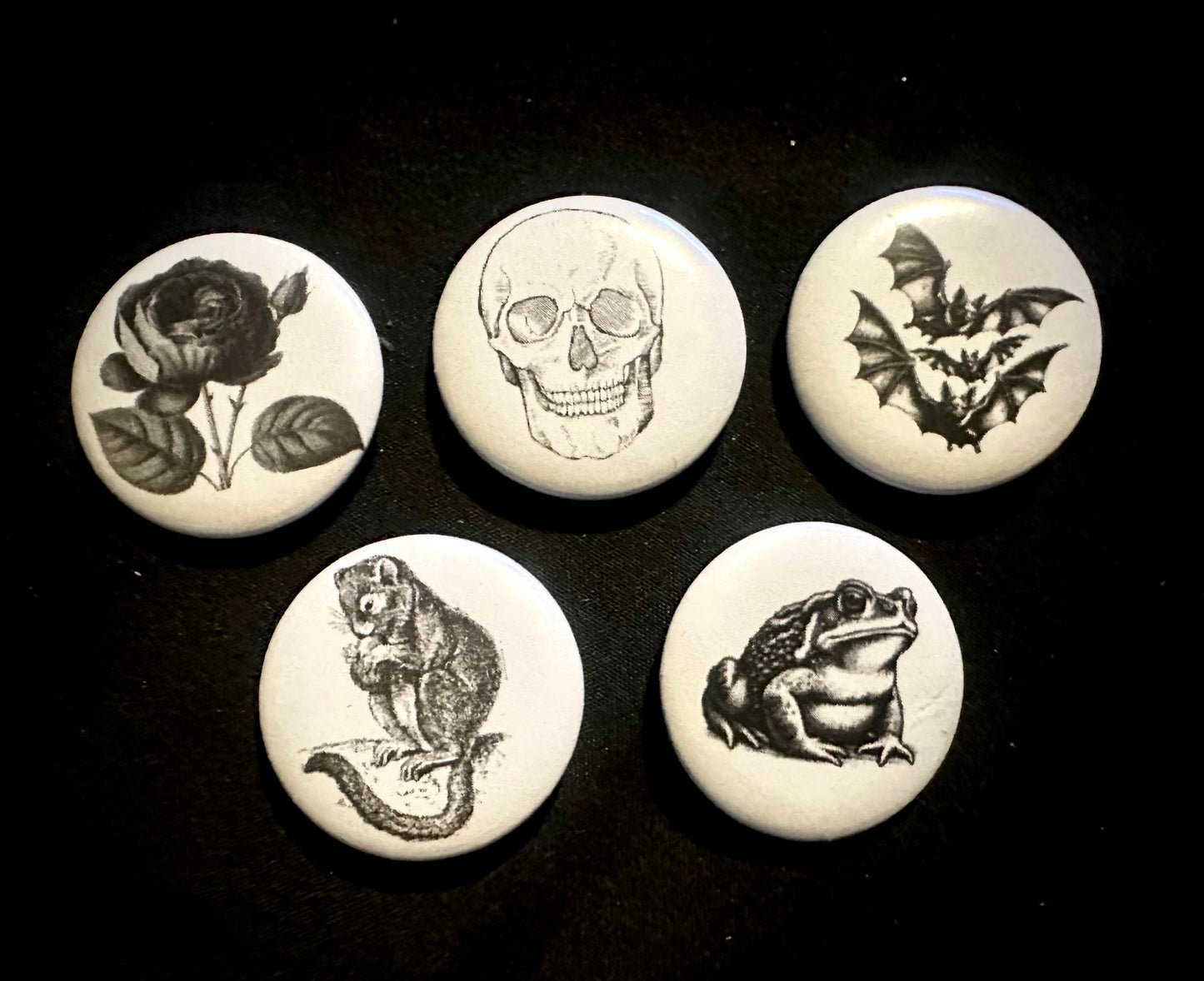 Lot of 5 pins