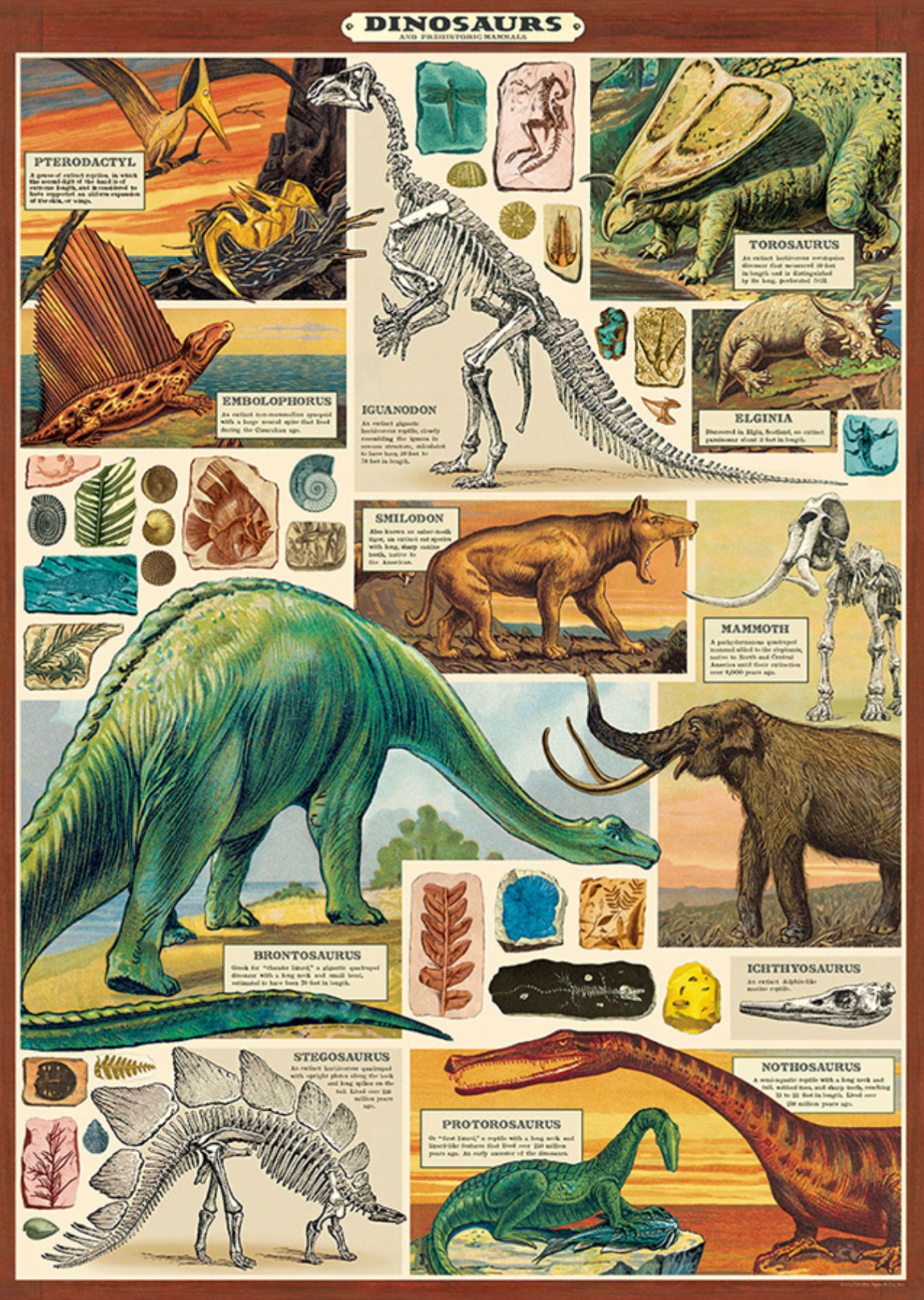 Dinosaur print 2