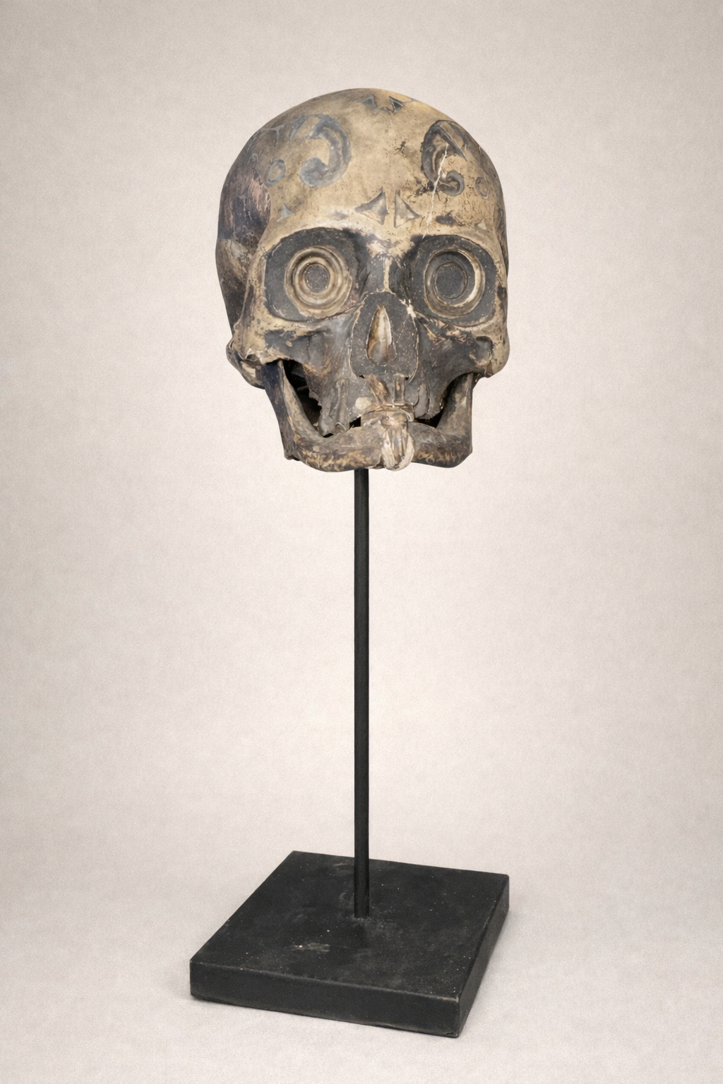 Dayak human tribal head skull