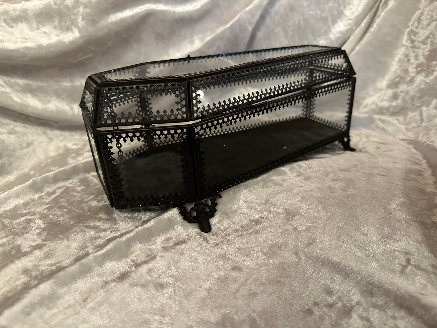 Glass coffin box display