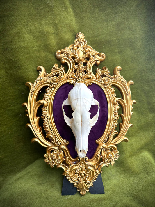 Fox skull frame