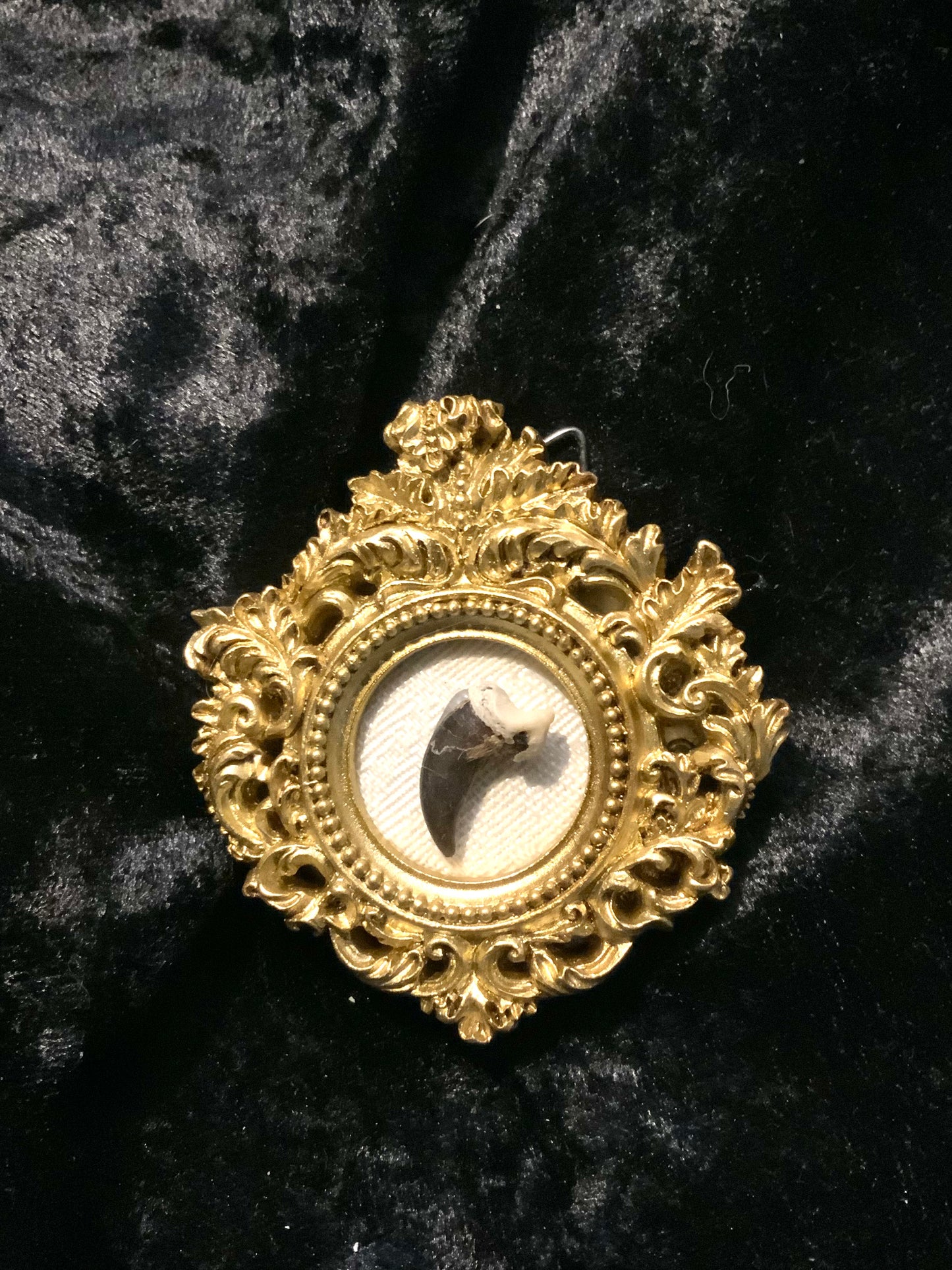 Coyote claw frame