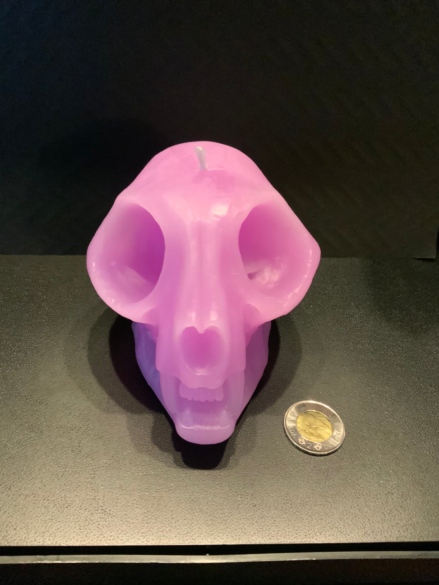 Purple cat skull candle