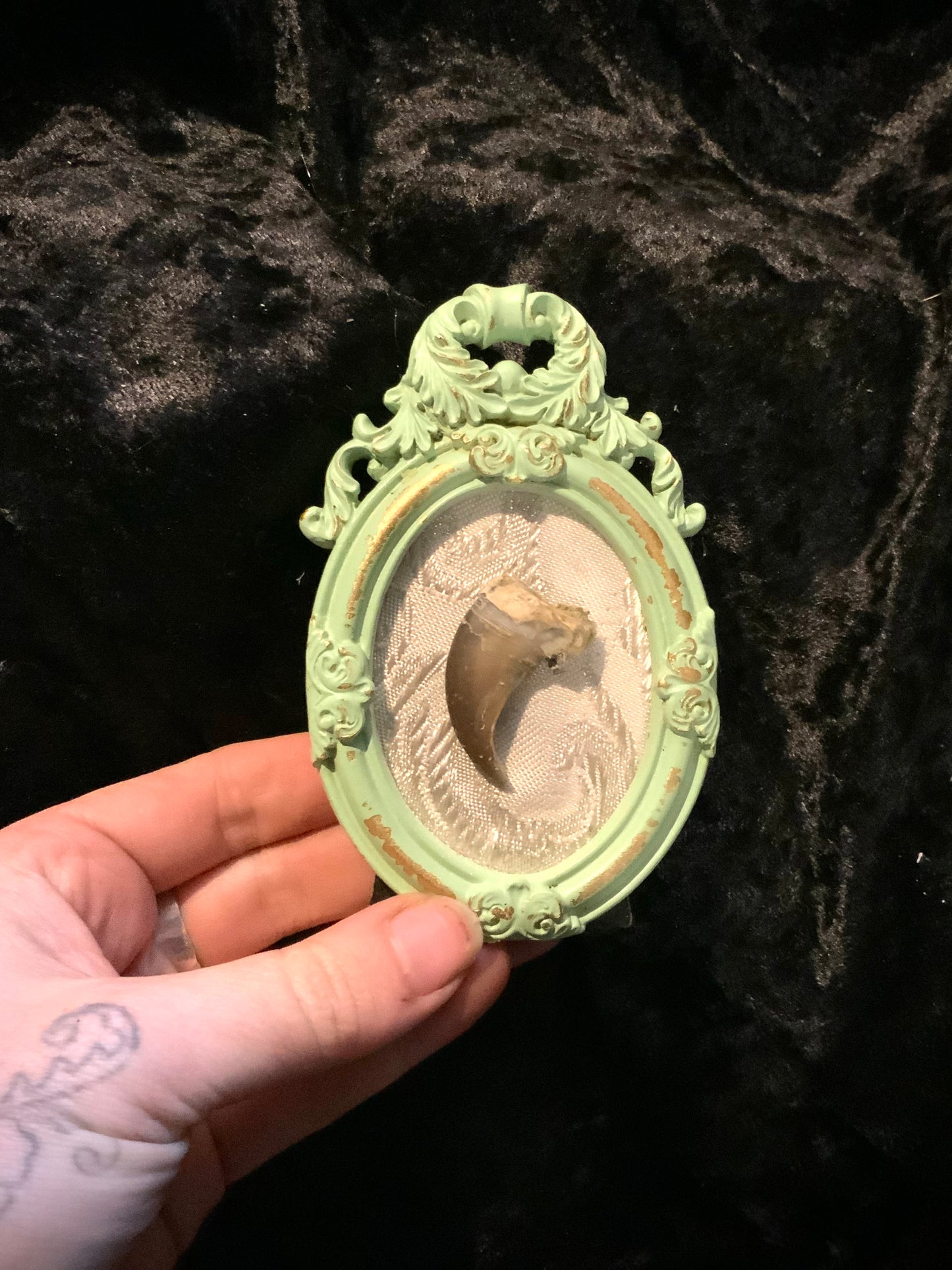 Bear claw frame