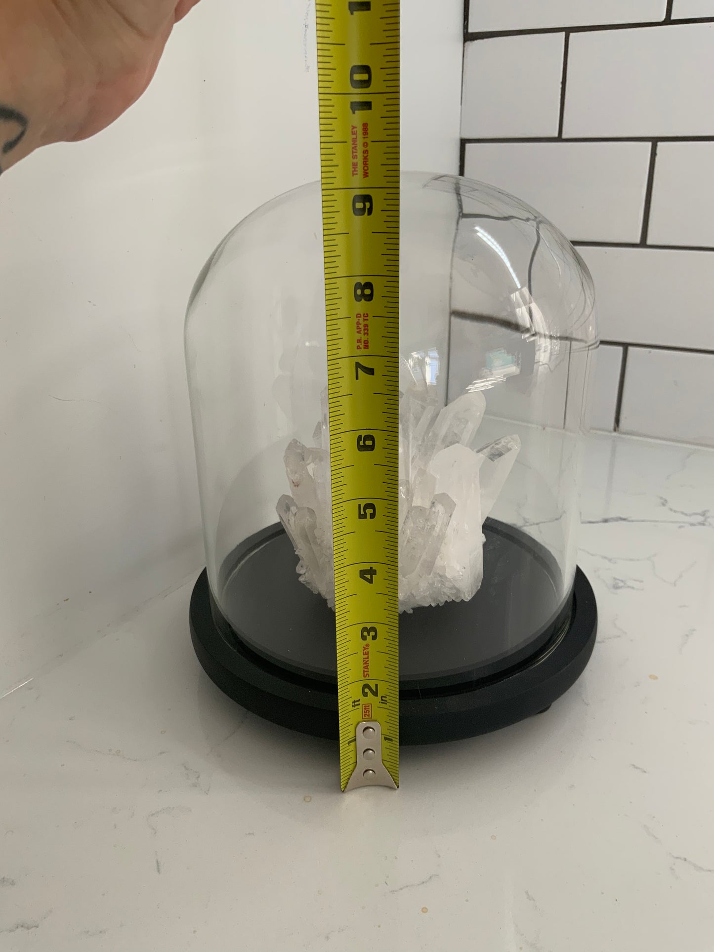 Large glass dome