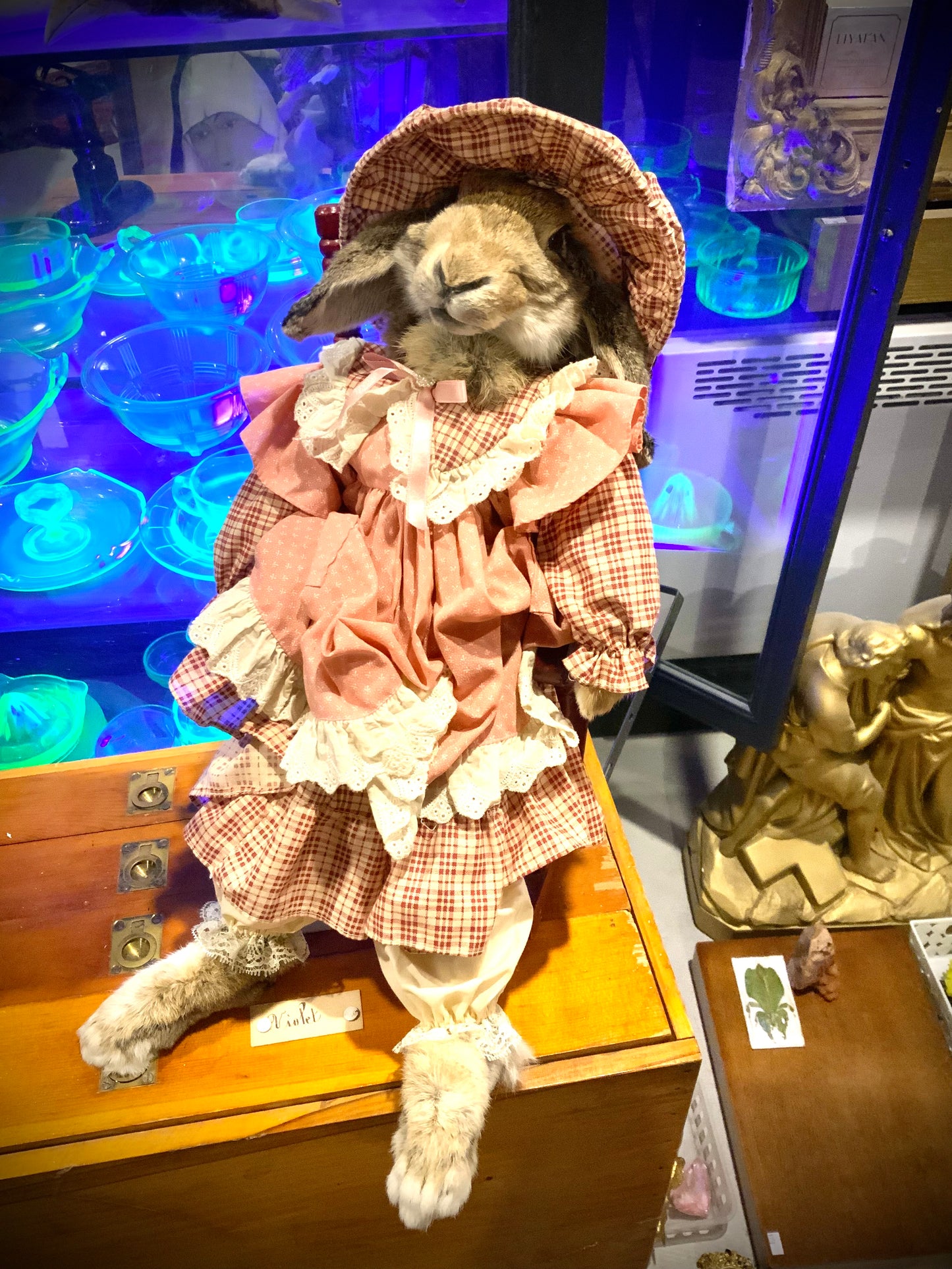 Rocking chair old lady English rabbit