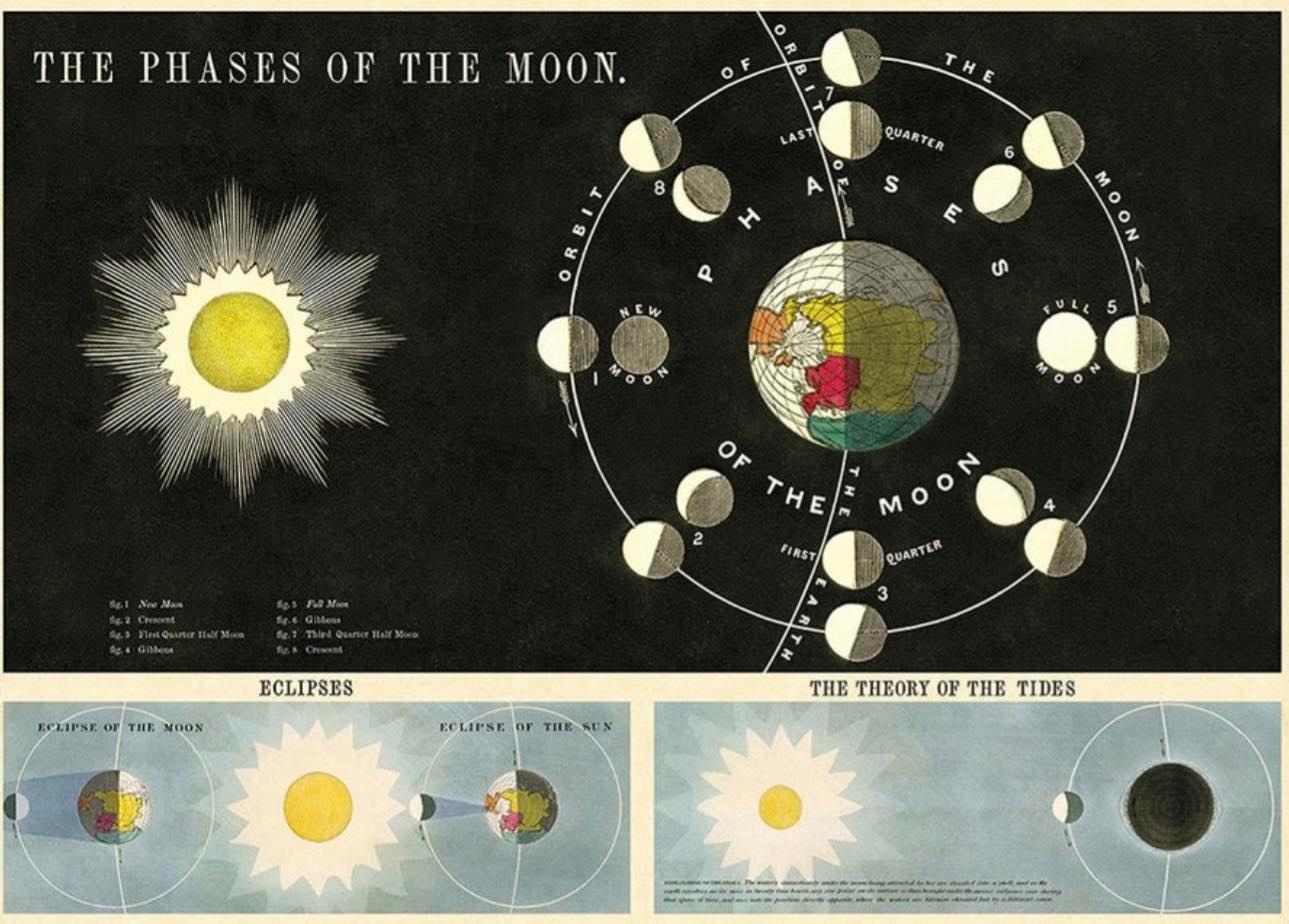 Phases of the moon print 19x27