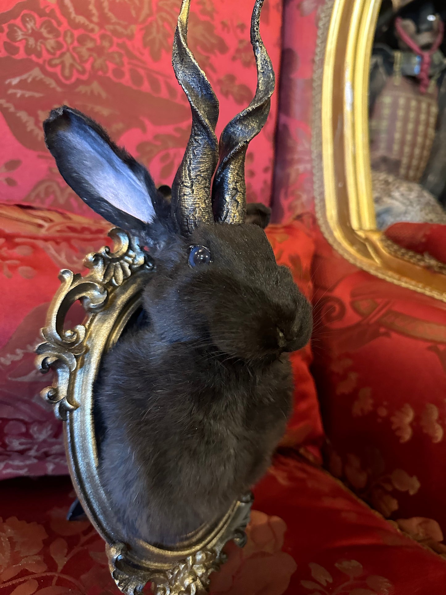 Jackalope taxidermy