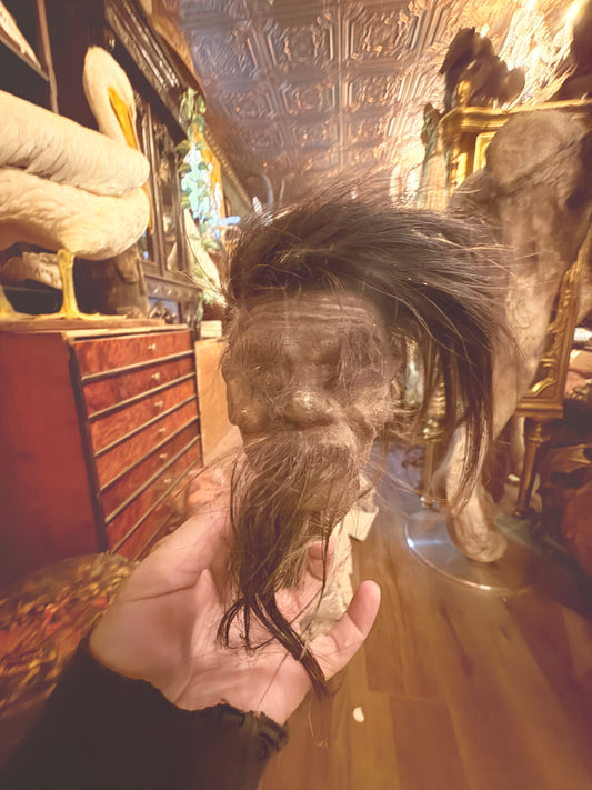 Animal skin shrunken head