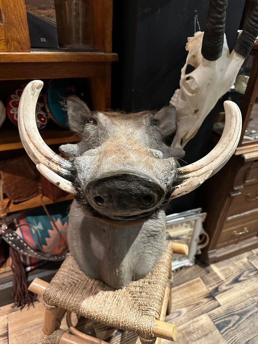 Warthog head mount