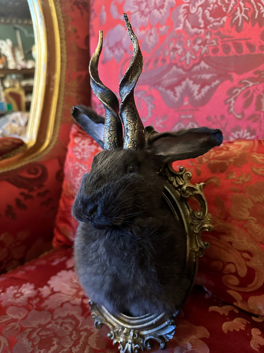 Jackalope taxidermy