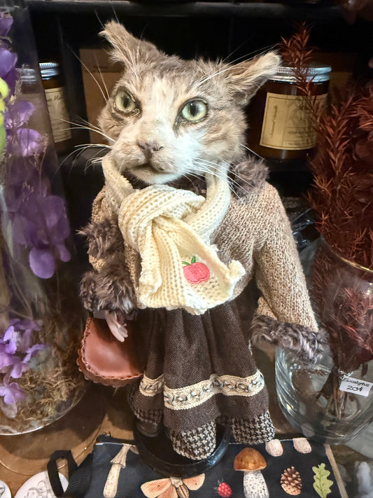 Taxidermy cat doll