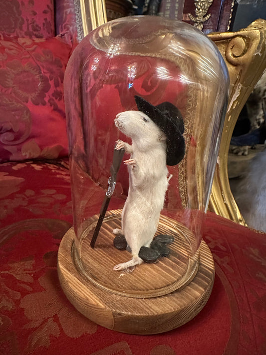 Cow-boy mice display in dome