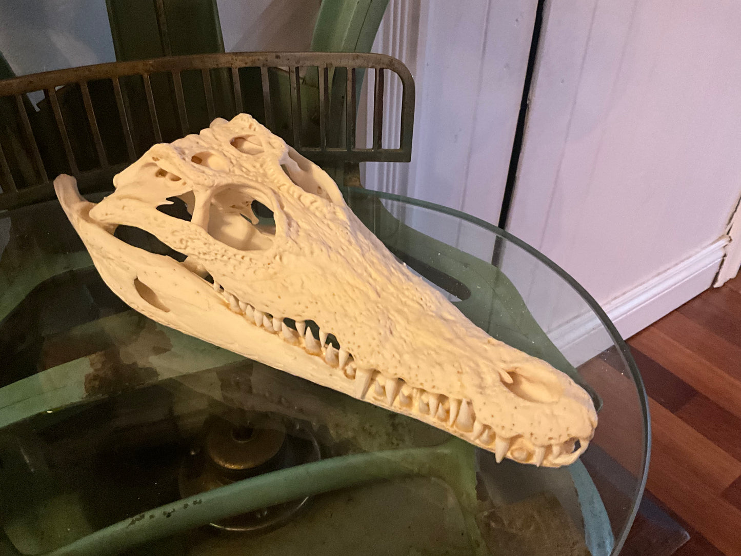 Nile crocodile