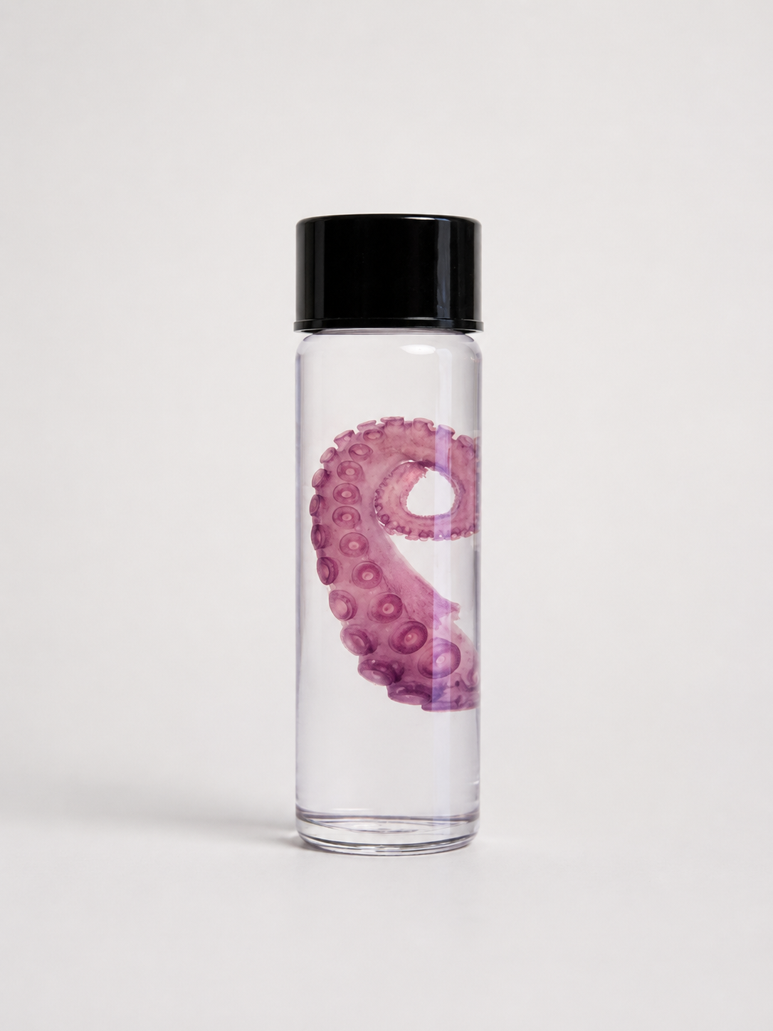 Diaphonized Octopus tentacule