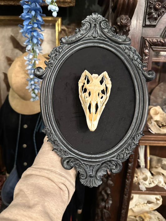 Large monitor skull frame