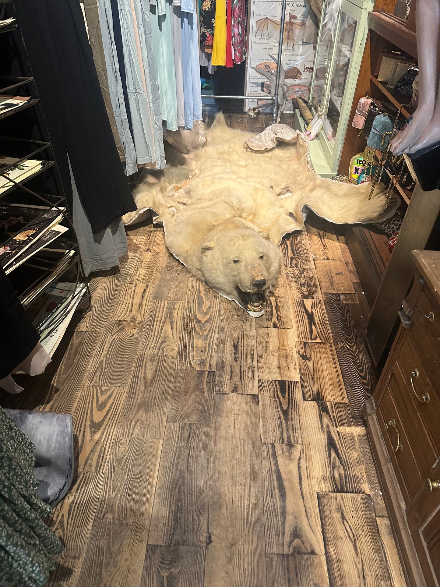 Polar bear rug - craft