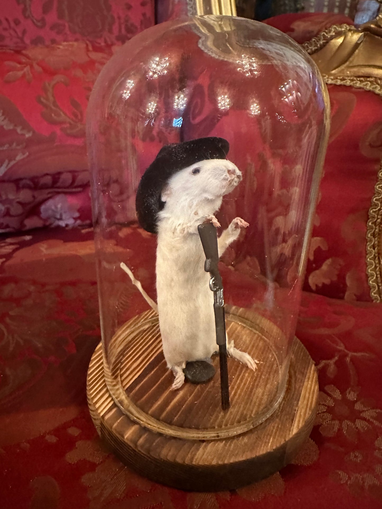 Cow-boy mice display in dome