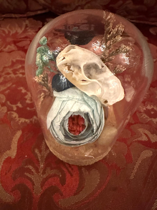 Glass dome mink terrarium