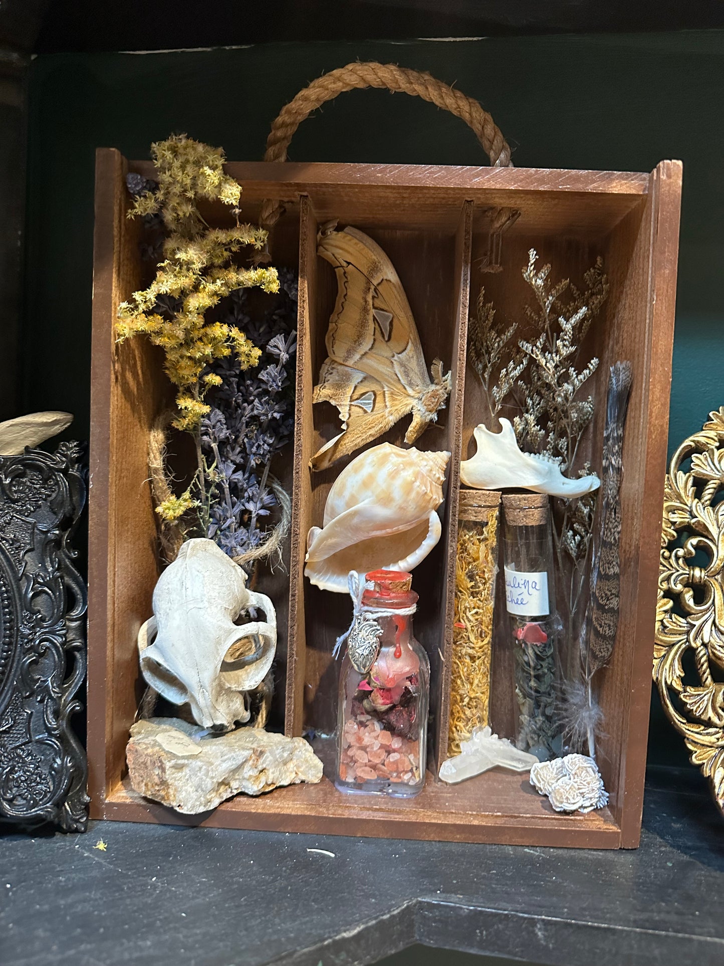 Witchcraft shelf display