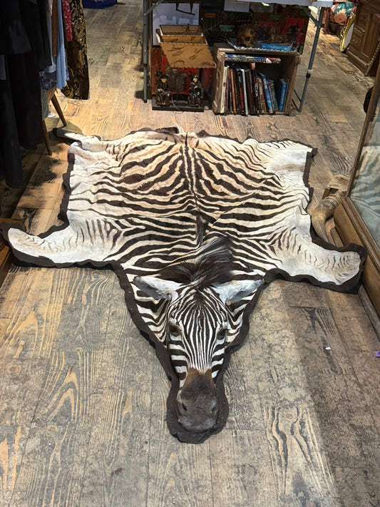 Zebra rug with mounted head