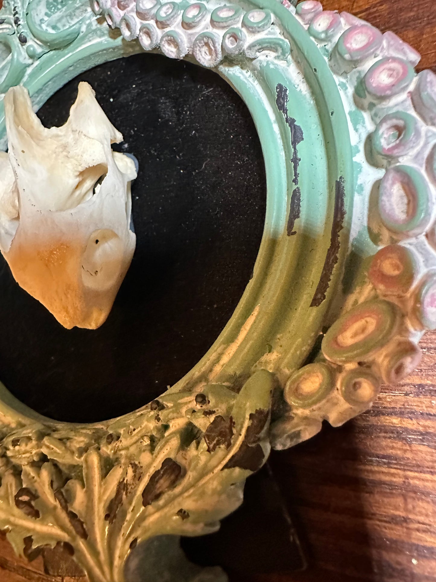 Turtle skull in tentacule frame