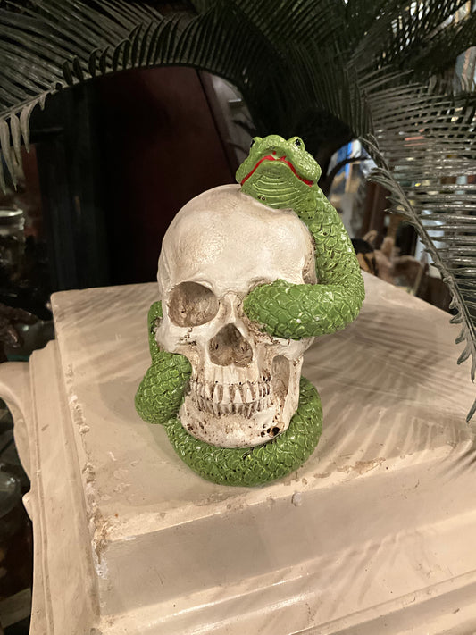 Resin skull with snake