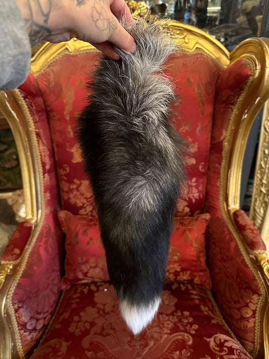 Silver Fox tail