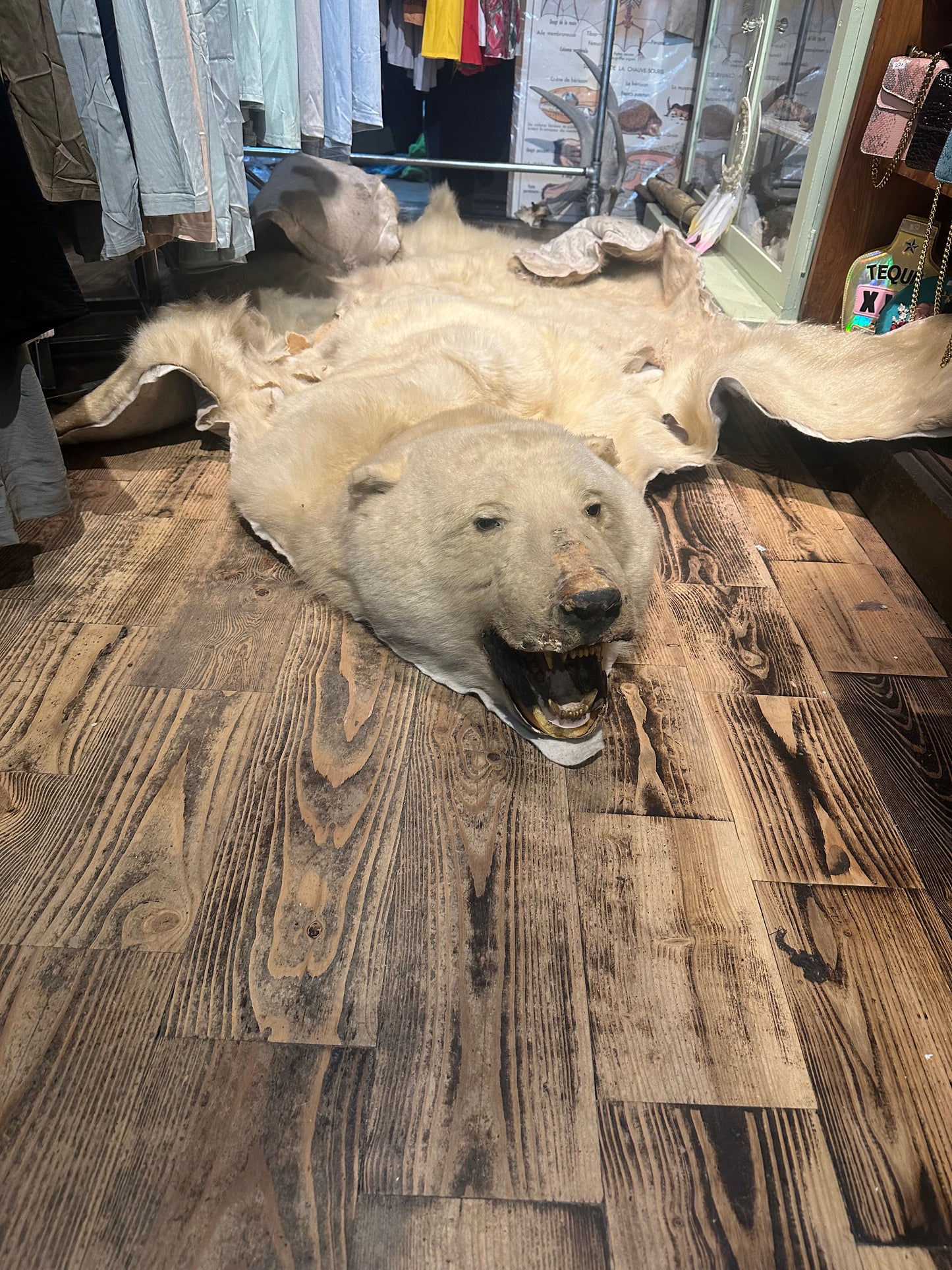 Polar bear rug - craft