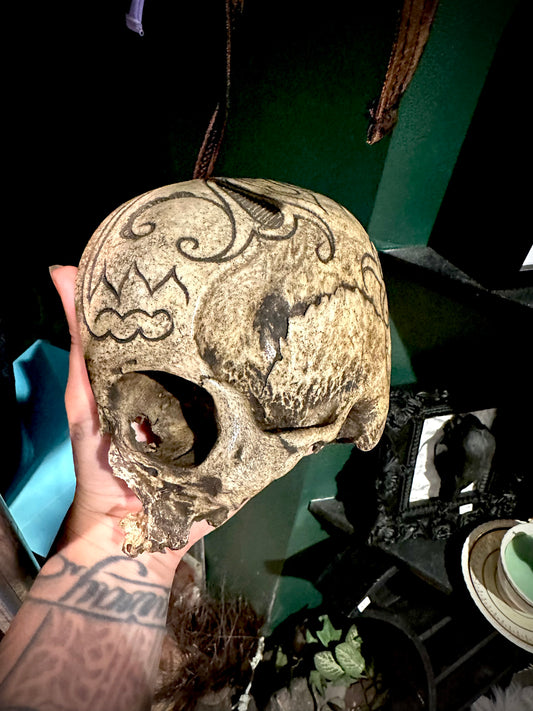 Real carved human skull