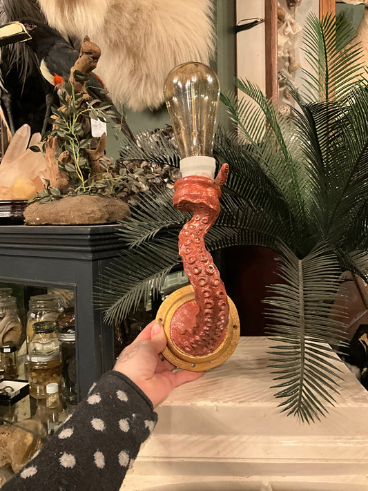 Wall hanging tentacule lamp