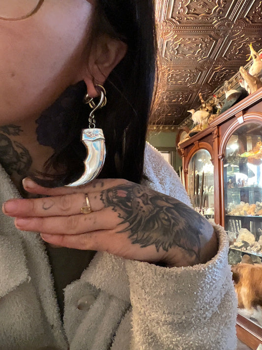 Stainless Polar bear claw earweight